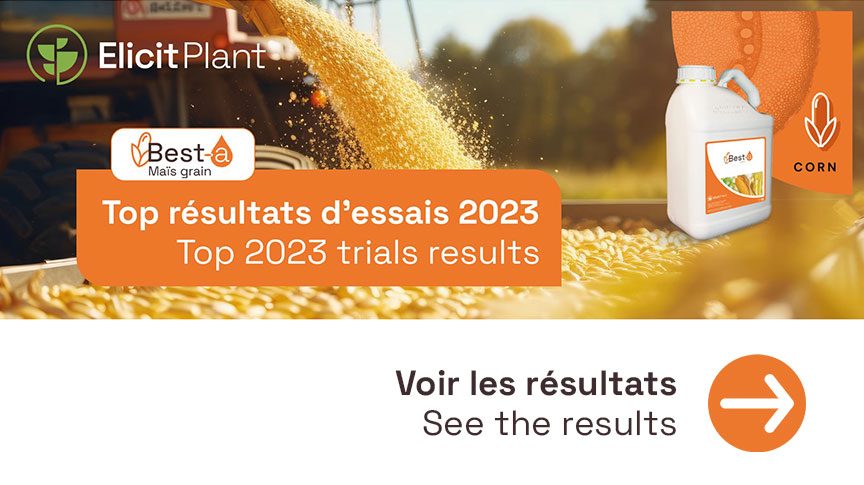 Résultats essais 2023 maïs grain