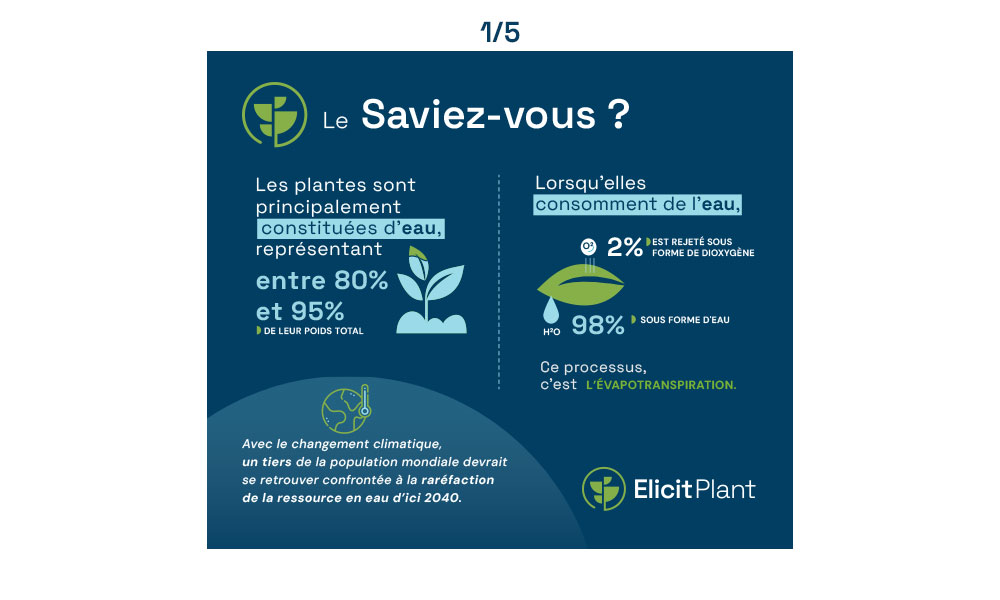 Le Saviez-vous ? slide 1