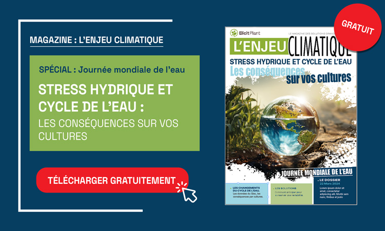 Téléchargez gratuitement notre magazine
