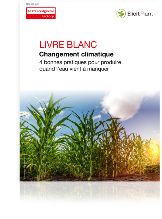 Télécharger : Livre Blanc 4 bonnes pratiques pour produire quand l’eau vient à manquer