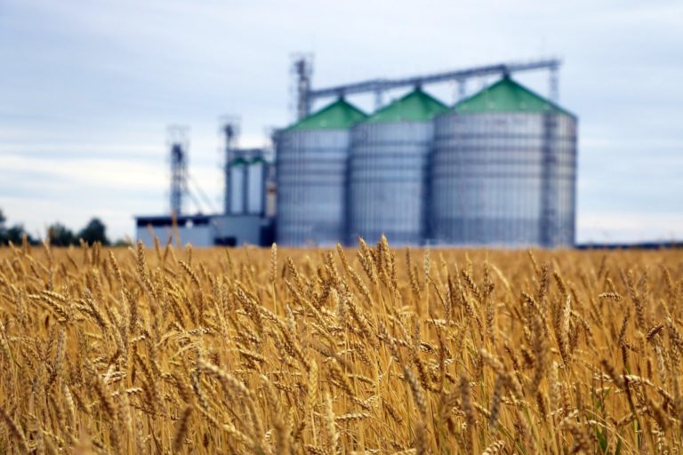 Souveraineté alimentaire : quand l’innovation agricole défie le changement climatique