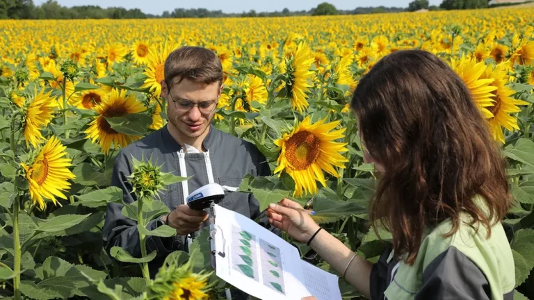 Elicit Plant : la start-up des champs