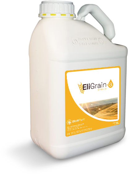 EliGrain-a Céréales Blé