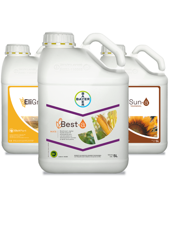 Gamme de produits contre le stress hydrique Elicit Plant