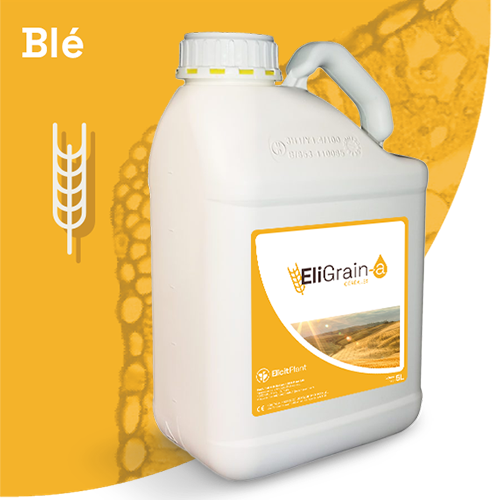 EliGrain-a-Blé
