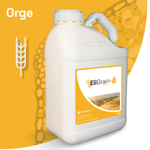 EliGrain-a-Orge