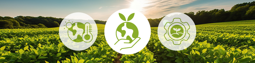 Facteurs environnementaux stress hydrique agricole