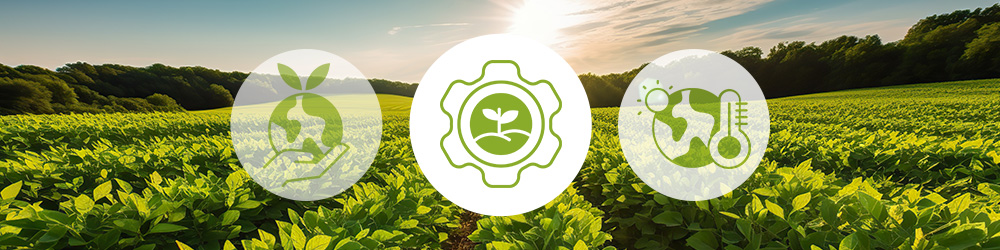 Facteurs humains stress hydrique agricole