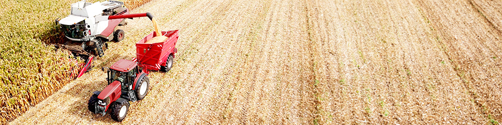 Des impacts économiques pour les producteurs agricoles