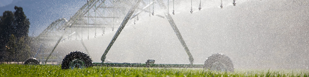 Intervenir en curratif avec irrigation