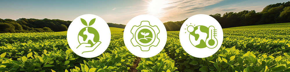 Les causes du stress hydrique en agriculture