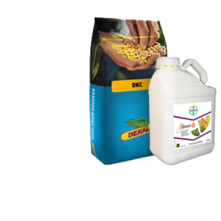 Semences Dekalb combinées avec Best-a