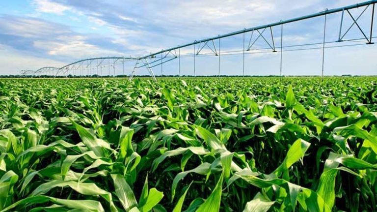 Lutter contre le stress hydrique agricole