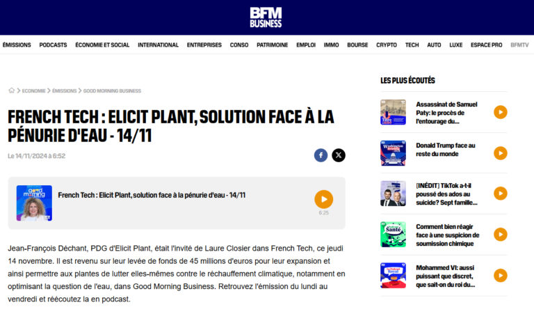 bfmv tv elicit plant