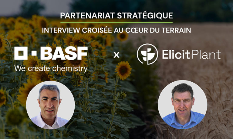 Elicit Plant et BASF s’allient pour accélérer le déploiement des biosolutions sur céréales et tournesol