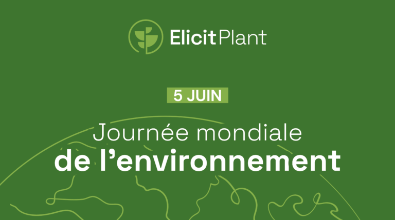 Journée mondiale de l’environnement : La durabilité au cœur de l’engagement d’Elicit Plant