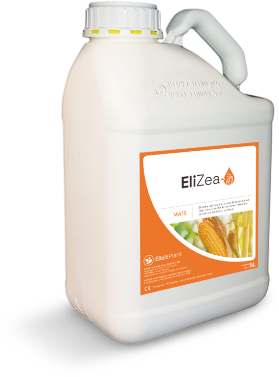 EliZea
