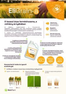EP-Product-sheet-EliGrain-A-Barley-2025-03-HU