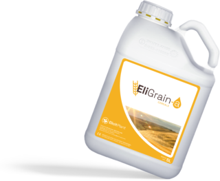 EliGrain Oblique GB 3