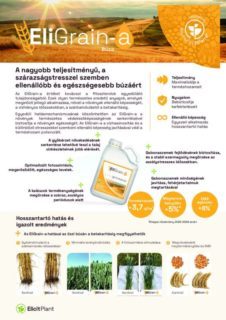 EliGrain-Wheat-Product-Sheet-2025-buza