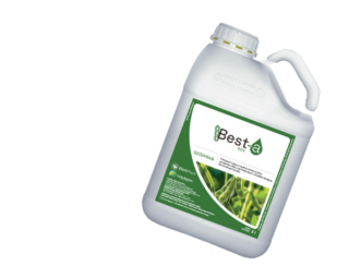 Best-a soy