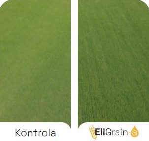 Avantages-EliGrain-a-Enhanced-resistance-to-water-stress