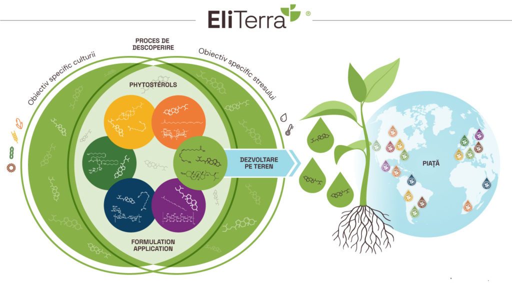 EliTerra, Platforma tehnologică