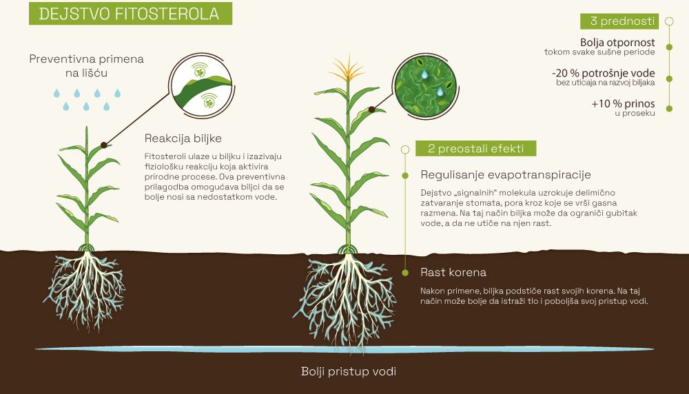&Scaron;ema delovanja fitosterola