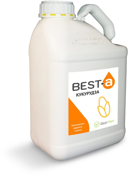 BEST-a Ukraine