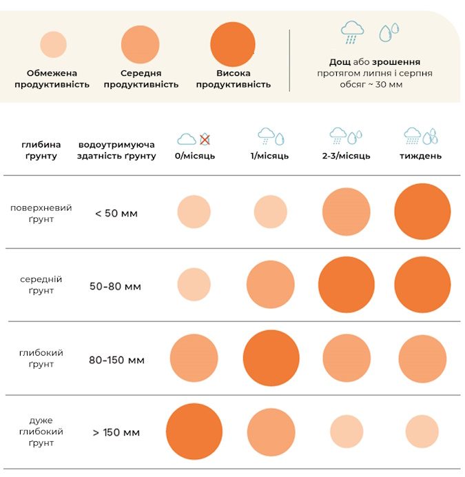 Best - очікувана сітка продуктивності