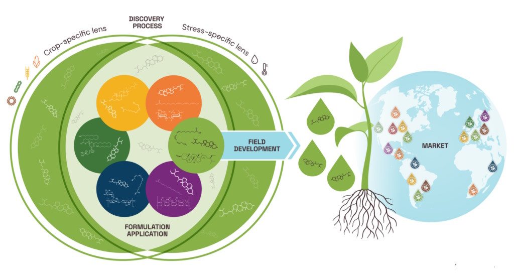 Discovery Process