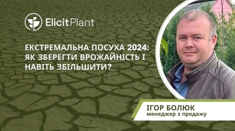 посуха 2024