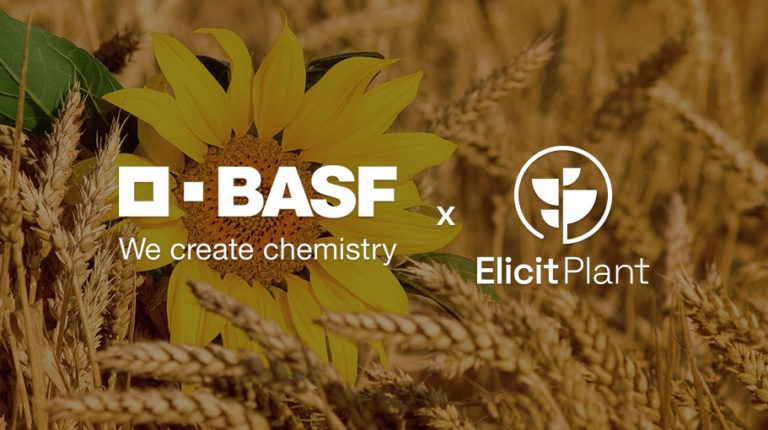 BASF-x-Elicit-Plant