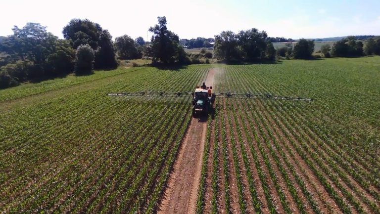 BomaFit Corn beeing applied