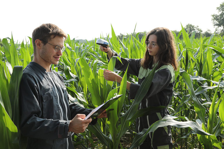 Elicit Plant Agronomists