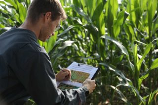Agronomy scientist at Elicit Plant