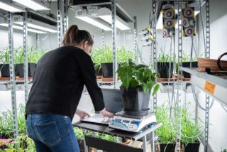 Biology scientist at Elicit Plant