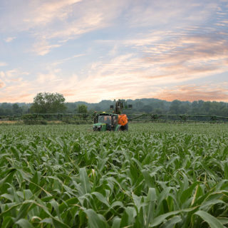 tractor spraying corn fields