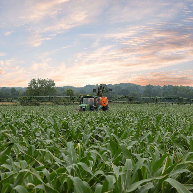 tractor spraying corn fields