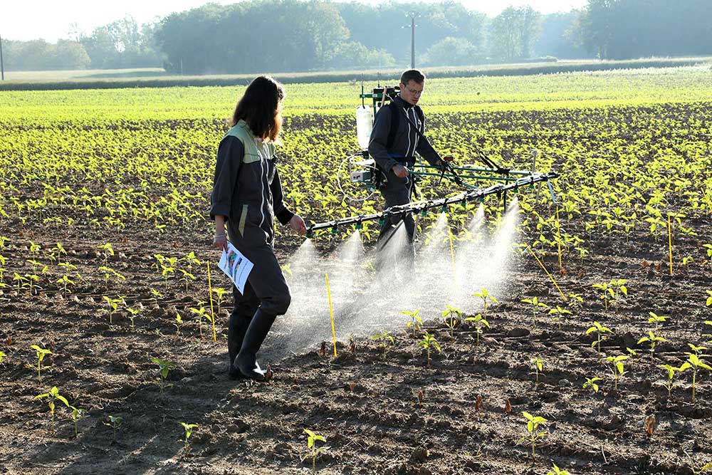 Elicit Plant agronomists conducting trials on trial plots