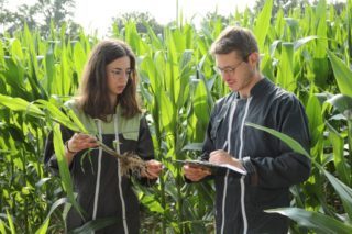 Agronomy field measurement