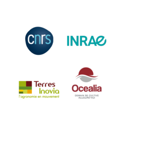 Our scientific partners