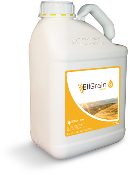 EliGrain-a for Cereals and Spring Barley drought stress