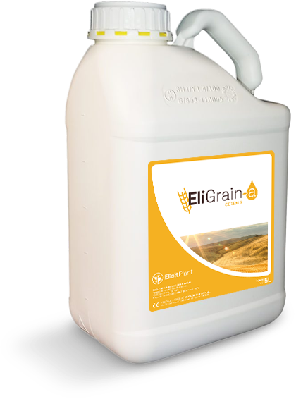 EliGrain-a for Cereals and Spring Barley drought stress