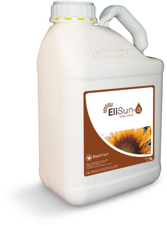 EliSun-a for sunflower Drought Stress