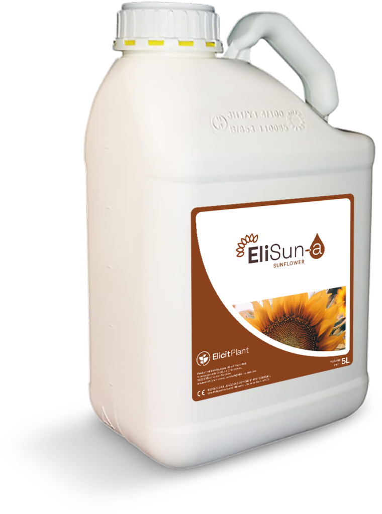 EliSun-a for sunflower Drought Stress