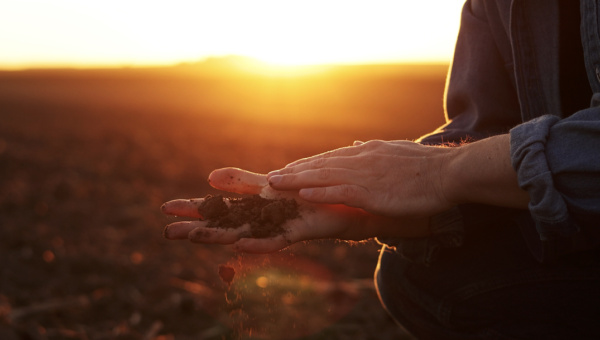 Water scarcity, drought : inventing tomorrow&#039;s solutions together