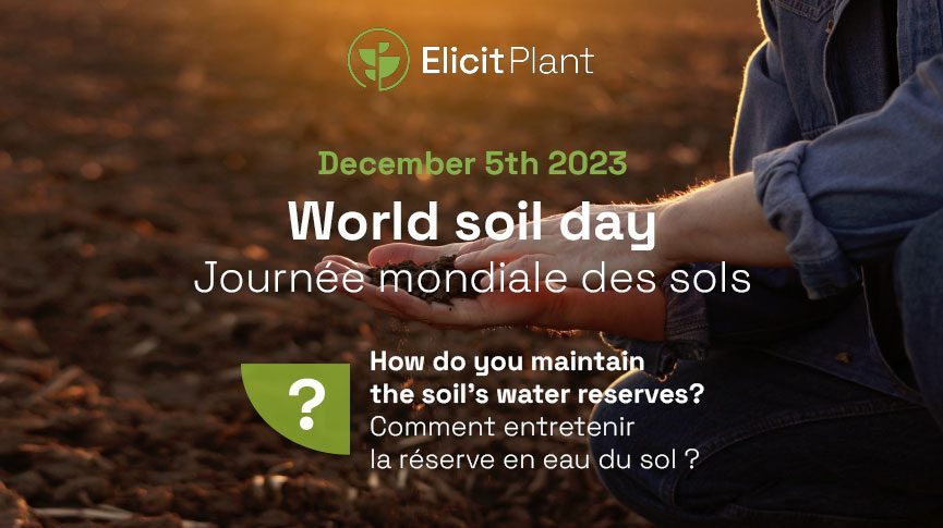 World soil day