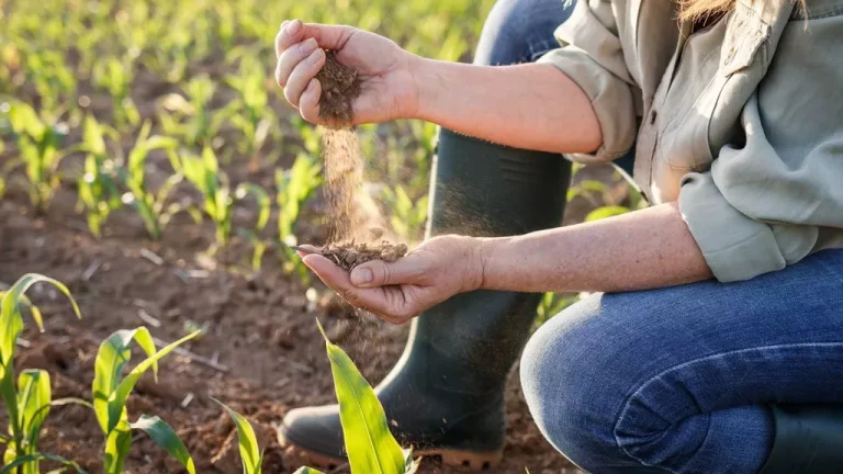 Soil conservation to optimize water management