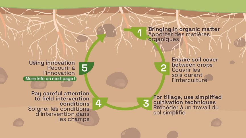 World soil day 2